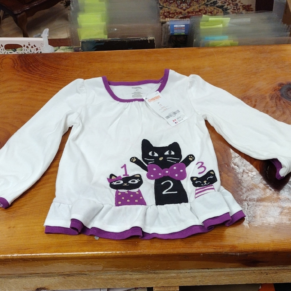 Brand New Gymboree 2T Shirt With Flared Bottom